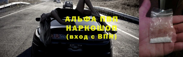 PSILOCYBIN Балахна