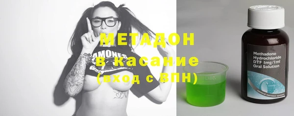 индика Арсеньев