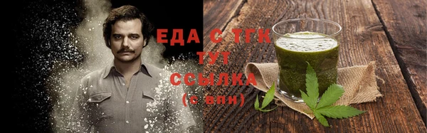 индика Арсеньев