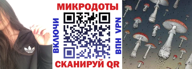 Купить закладки  Прокопьевск  Галлюциногенные грибы MAGIC MUSHROOMS 
