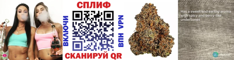 Купить где  Прокопьевск  Каннабис индика 